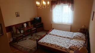 Проживание в семье Apartamenty Willa Dafne Цехоцинек Стандартный двухместный номер с 1 кроватью или 2 отдельными кроватями-3